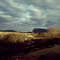 Pic Saint loup