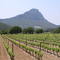 Pic Saint Loup