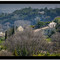 Printemps dans la vallée d'Uzès