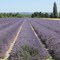 Drôme provençale