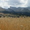 Orge du Dévoluy,  Juillet 2003