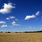La plaine de Beauce