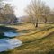 Ile Ollivier, Les Rosiers-sur-Loire - Décembre 2007