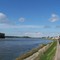 La Loire près de St-Clément-des-Levées