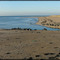 Vue sur la plage de Pirou-plage