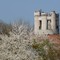 Curieuse tour a St Germain