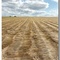 Drying after cutting, Etcot