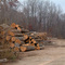 Sawmill
