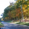 View North on Helmsburg Rd From Owl Creek Road, Brown County