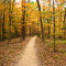 Brown County State Park