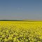 Sur le GR au printemps