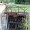 Canal d' Orleans