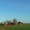 20070127 Cires-lès-Mello