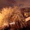 Nuit d'Hiver