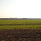 vista route de Soignolles