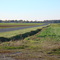 vista brie route
