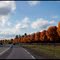 به سوی پاییز