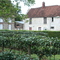 pommiers en espalier