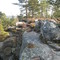 Forêt de Nemours / Forest of Nemours