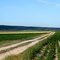Le chemin