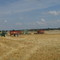 moisson près de Souligny, juillet 2003