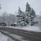 Winter's last slap!