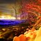 DSC05549 LED Fantasy in Winter - SE view