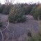 Hunting Area Nov 14, 2012