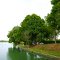 Canal de la Marne au Rhin, Camping vers l'étang de Parroy, halte nautique (rs)