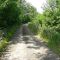 Wandeling Moerassen Clairmarais