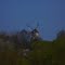Moulin de Watten