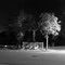 Ballade nocturne dans Saint Jean de Linières