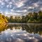 Summer Reflection
