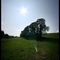 Bosquet