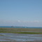 Etables Régates au large de Binic