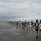 Dans la Baie du Mont St Michel avant la marée