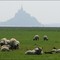 Le Mont Saint Michel au temps des croisés