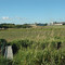 0096 - De Saint Nazaire à Saint Père en Retz - Randonnée