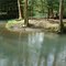 Ruisseau du Tounolle ( Bois de Boulot )