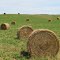 New Hay rolls in July (Solon, MI)