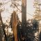 tempête  decembre 1999
