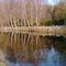 reflection................... canal de l est