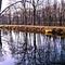 2 twin  trees  =  4 trees................ canal de l est