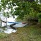  Dog's toilette , Lac-du-Der
