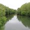 La Marne à Ambrières  (Haute-Marne)