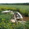 mamey : ruines fontaine du  puiset