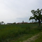 mamey: south view