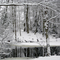Barre, MA Winter