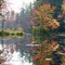 East Branch - Above Beaver Dam