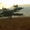  Crépuscule sur les tourbières de Bannans